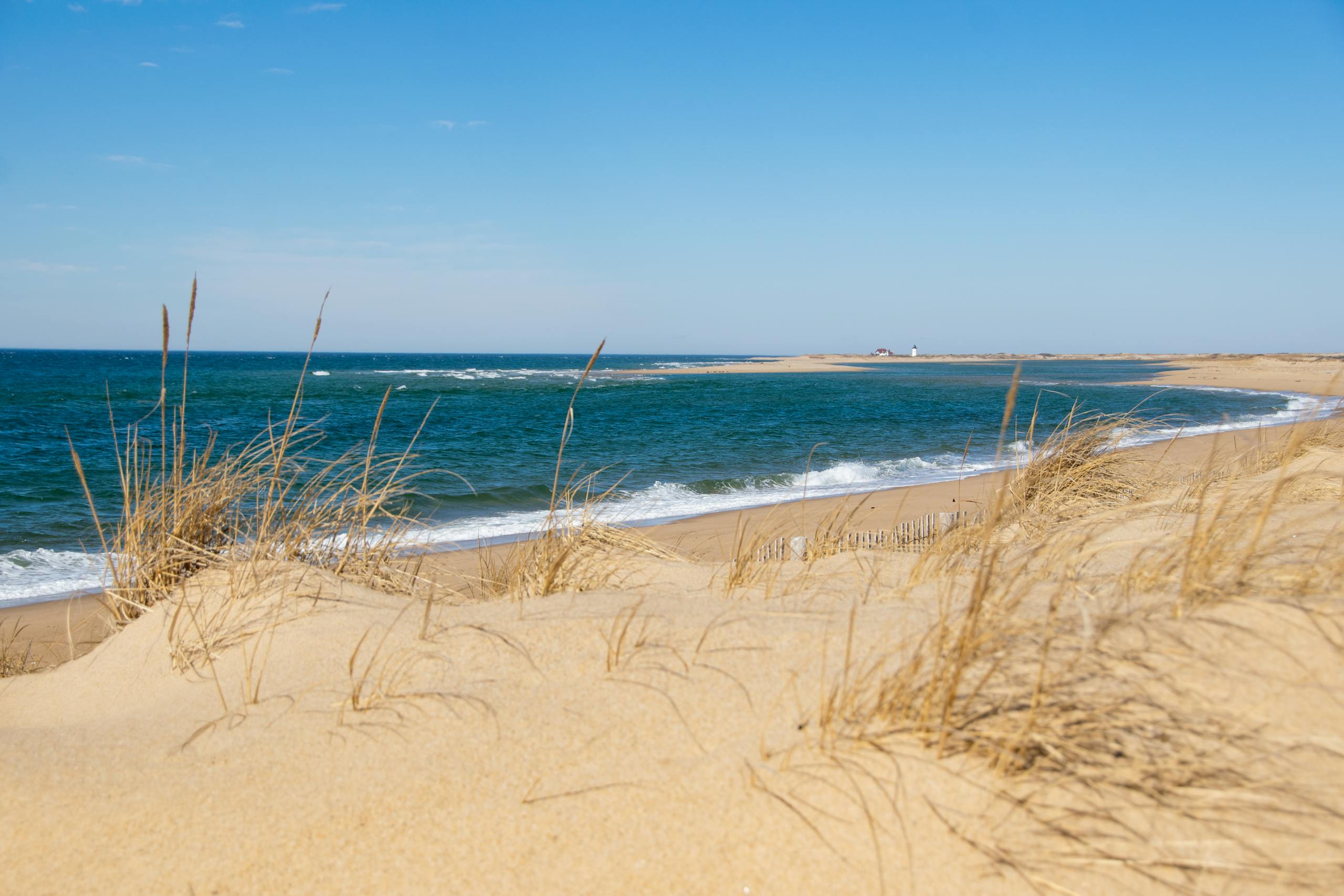 Golden dunes and tranquil shoreline at Cape Cod National Seashore in Provincetown.