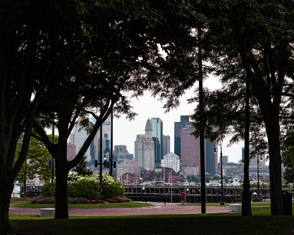 View of Boston's skyline framed by lush trees from a city park.